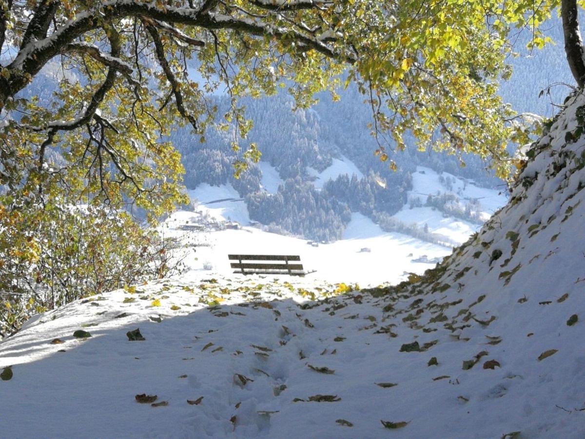 Holiday Flat Daniela, Hippach Im Zillertal Ngoại thất bức ảnh