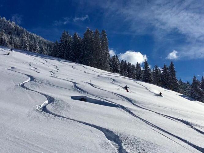Holiday Flat Daniela, Hippach Im Zillertal Ngoại thất bức ảnh